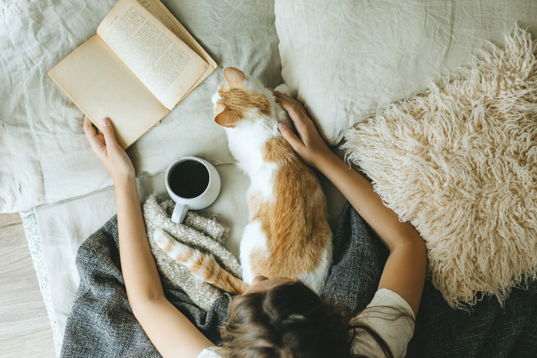 5 Lessons we can learn from a cat