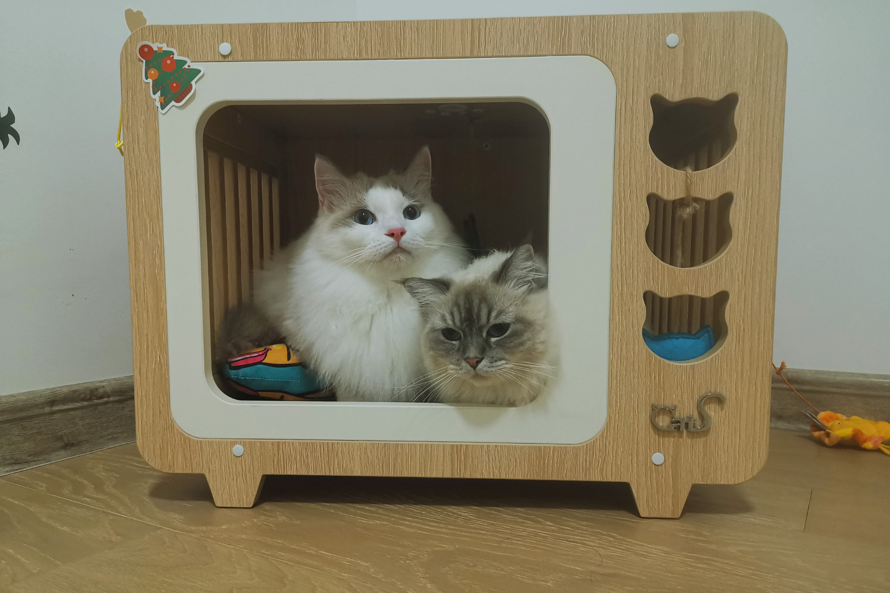 cats inside a toy tv, featured image for 5 Videos For Cats To Watch