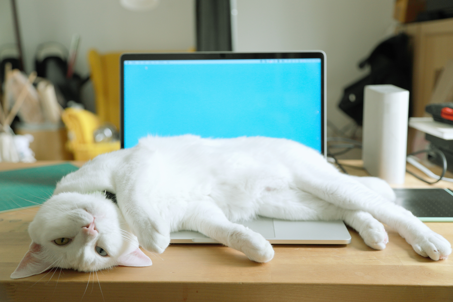 a cat laying on a laptop, might not be creating effective goals- but i will teach YOU how