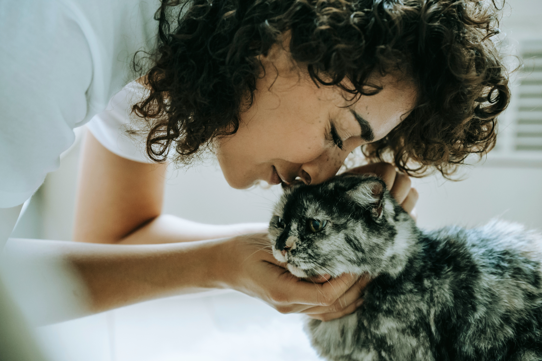 woman kissing cat, featured image for purrfect companions by ed carter