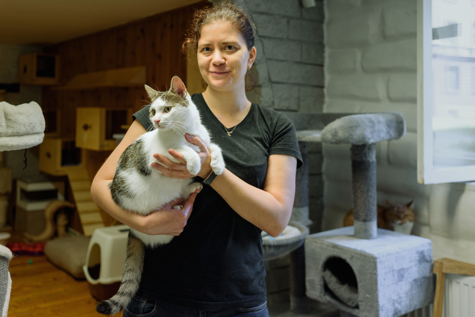 a cat in an animal shelter being cared for by a volunteer.