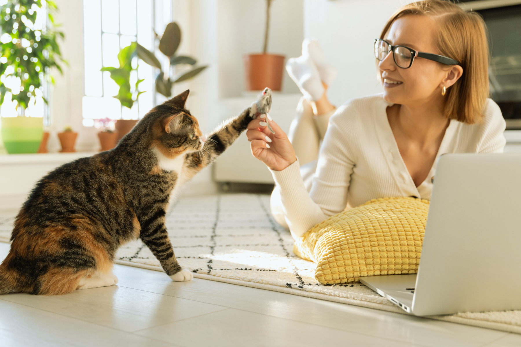 cat playing with a toy with a woman. the featured image for a cat moms survival guide