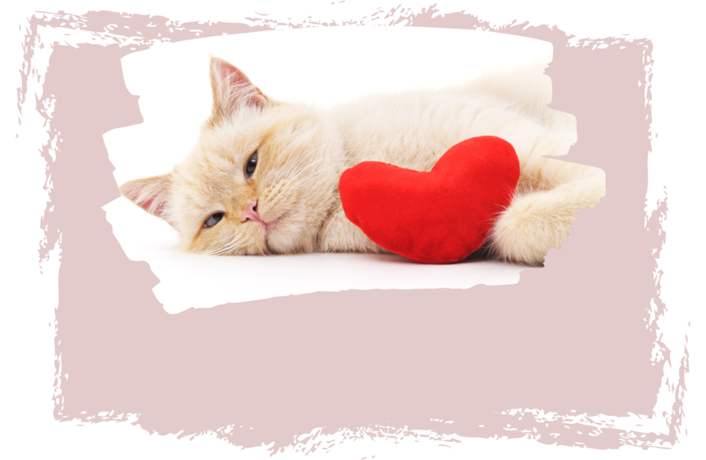 valentine-s-day-cat-e-cards-stay-at-home-cat-mom