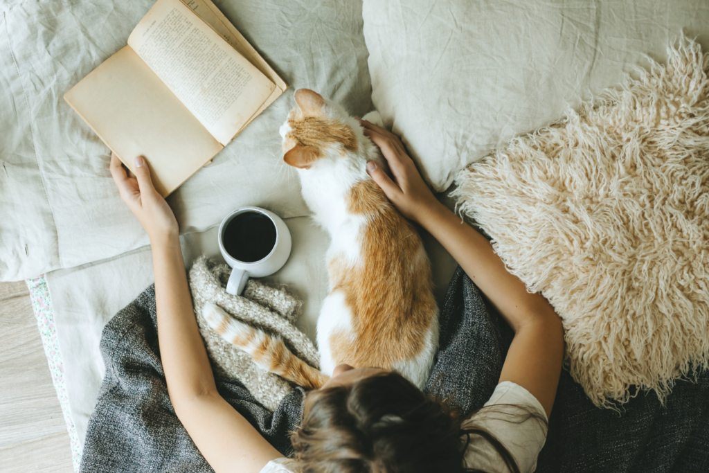 5 lessons you can learn from a cat. cat with woman reading a book