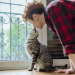 cat getting a kiss from a cat parent. cat love