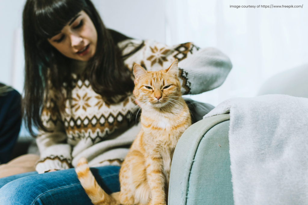 Preparing for Your Cat’s Care: Simple Steps to Find and Ready a Pet Sitter