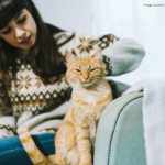 Preparing for Your Cat’s Care: Simple Steps to Find and Ready a Pet Sitter