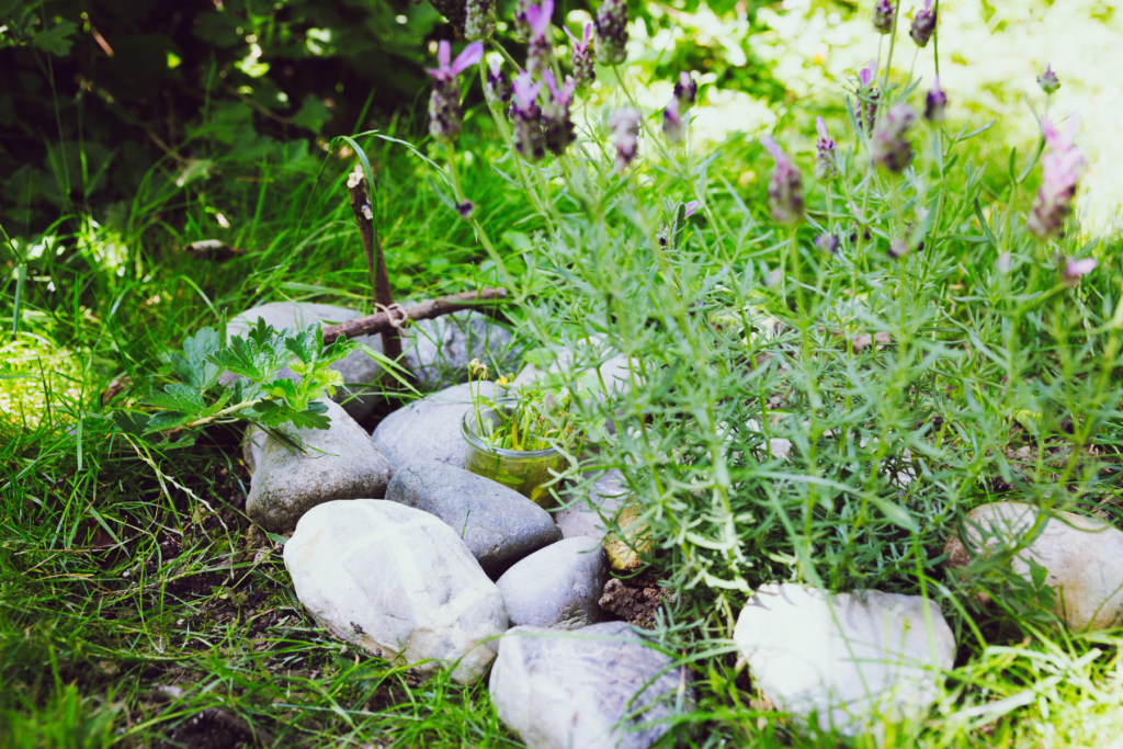 a cats grave, dealing with the loss of your cat