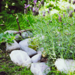 a cats grave, dealing with the loss of your cat