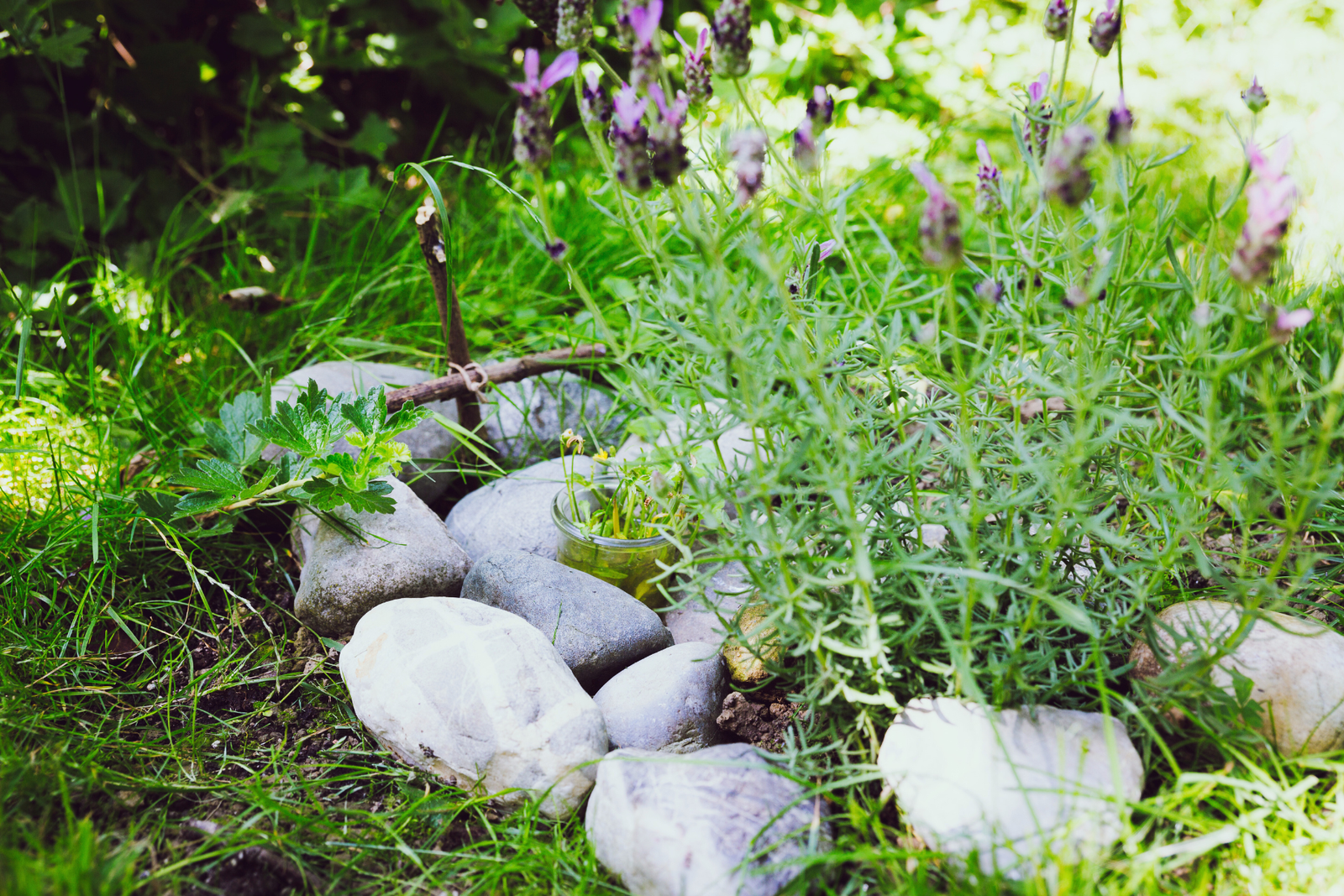 a cats grave, dealing with the loss of your cat