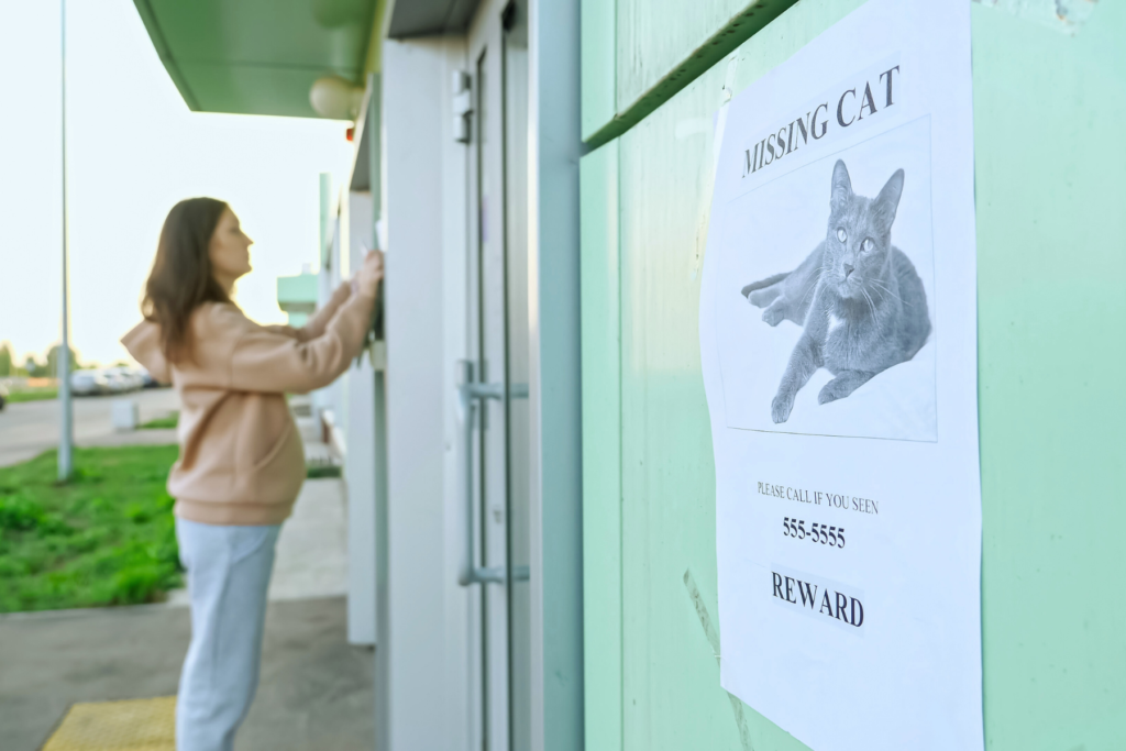woman hanging posters of her missing cat