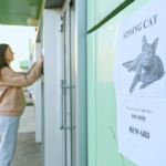 woman hanging posters of her missing cat