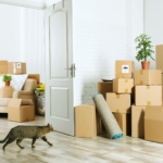 The Essential Guide to Moving Into a New Home With Your Cat
