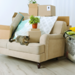 featured image for Moving your cat to a new home. cat on a couch surrounded by moving boxes
