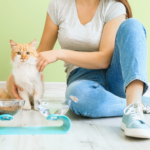 new cat owner sitting with cat in front of a cool water/food dish