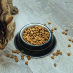 Discover 7 easy, no-cook DIY cat treats perfect for picky eaters! image from freepix.com