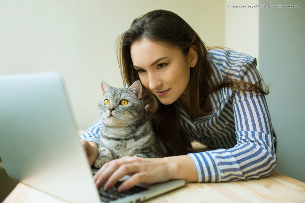 Purring Through the Hustle: Juggling a New Business and a New Cat Without Losing Your Mind