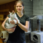a cat in an animal shelter being cared for by a volunteer.