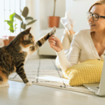 cat playing with a toy with a woman. the featured image for a cat moms survival guide