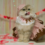 oh what a cute little valentine this kitty is. Happy Valentine's Day! You can find some valentines E-cards here!