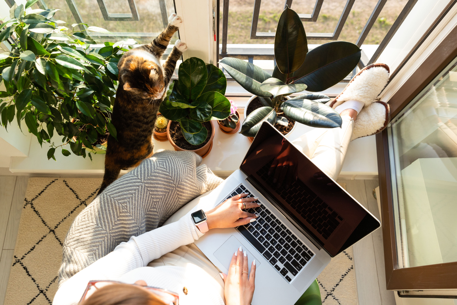 working from home on the computer with a cat