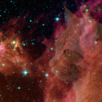 galaxy photo with transparent cat face on it. featured image for zodiac cat astrology.